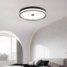 Потолочный круглый светильник для комнаты в китайском стиле, черный