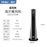 Обогреватель Haier MNS01 JD100069303593 бытовой вертикальный электрический